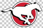 Stampeders Image-large